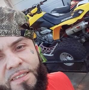 Meet your Posher, Harley